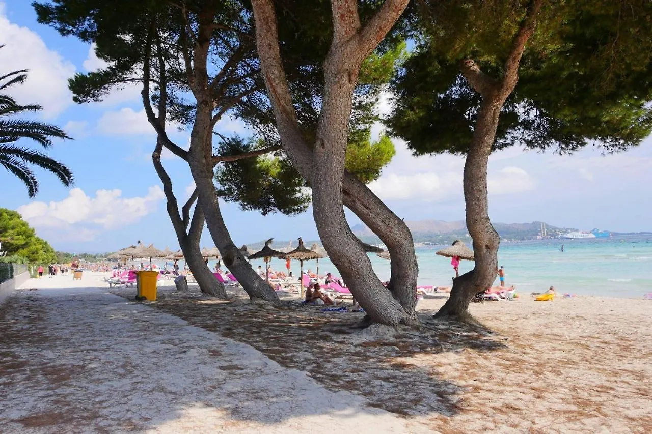 Ideal Property Mallorca - Villa Celia 阿尔库迪亚港